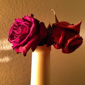 two roses